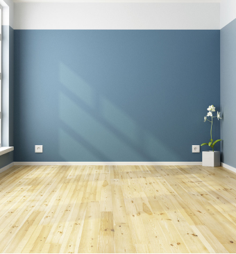 the blue wall behind white flower on the corner of the room